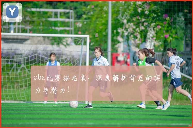 cba比赛排名表，深度解析背后的实力与潜力！